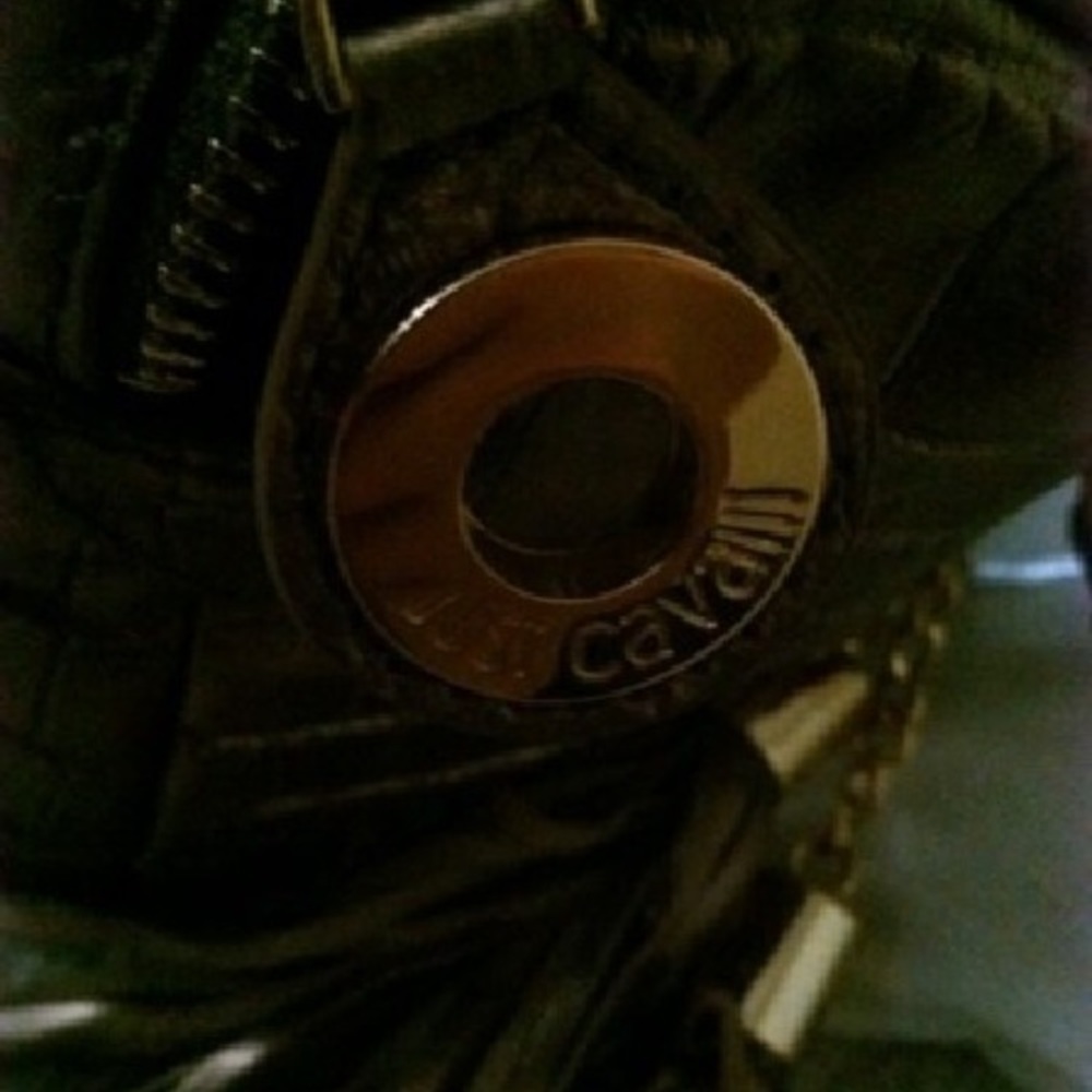 Authentic Roberto Cavalli Bag - Picture 5 of 7